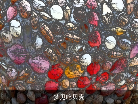 梦见吃贝壳