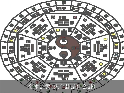 金木卦象(火金卦是什么卦)