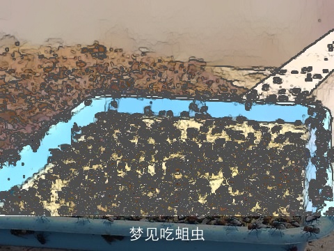 梦见吃蛆虫