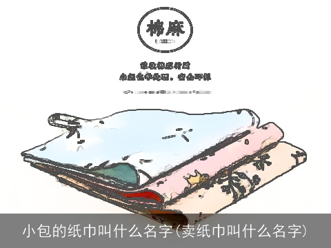 小包的纸巾叫什么名字(卖纸巾叫什么名字)