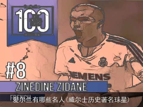 爱尔兰有哪些名人(威尔士历史著名球星)