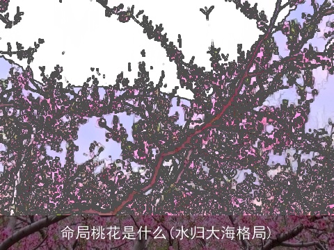命局桃花是什么(水归大海格局)