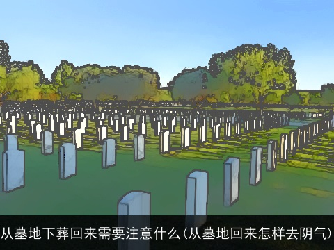 从墓地下葬回来需要注意什么(从墓地回来怎样去阴气)