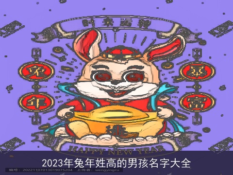 2023年兔年姓高的男孩名字大全