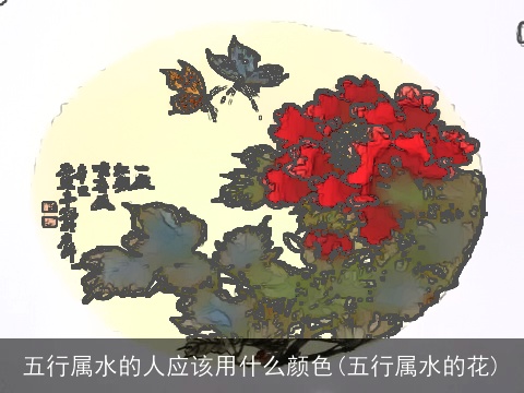 五行属水的人应该用什么颜色(五行属水的花)