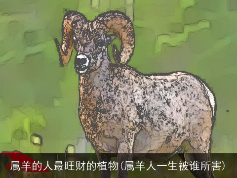 属羊的人最旺财的植物(属羊人一生被谁所害)