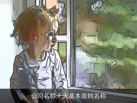 公司名称十大基本原则名称