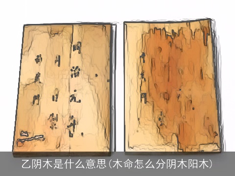 乙阴木是什么意思(木命怎么分阴木阳木)