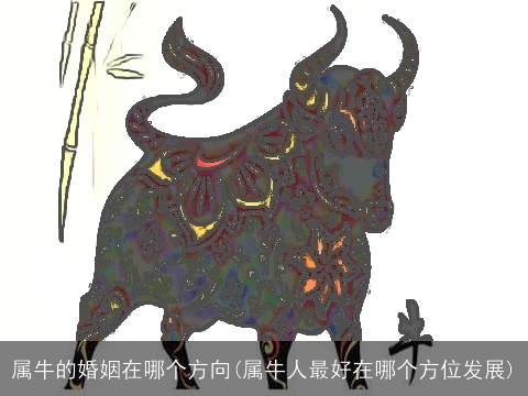 属牛的婚姻在哪个方向(属牛人最好在哪个方位发展)
