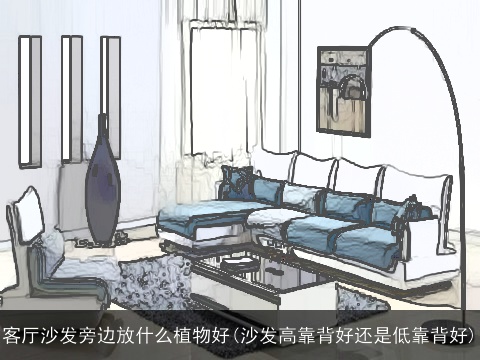 客厅沙发旁边放什么植物好(沙发高靠背好还是低靠背好)