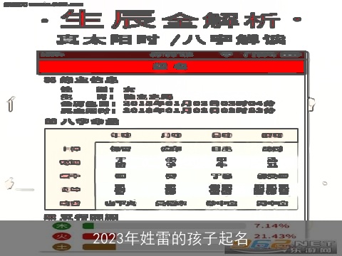 2023年姓雷的孩子起名