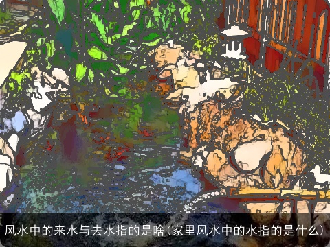 风水中的来水与去水指的是啥(家里风水中的水指的是什么)