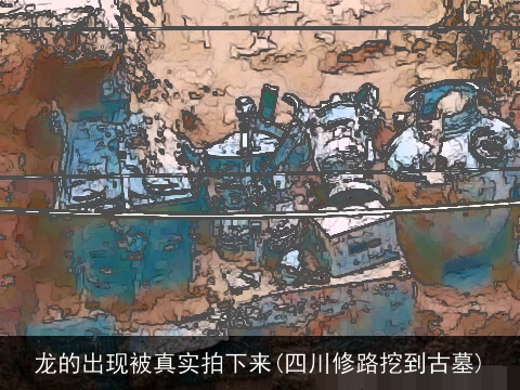 龙的出现被真实拍下来(四川修路挖到古墓)