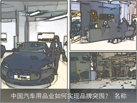 中国汽车用品业如何实现品牌突围？ 名称