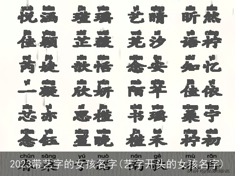 2023带艺字的女孩名字(艺字开头的女孩名字)