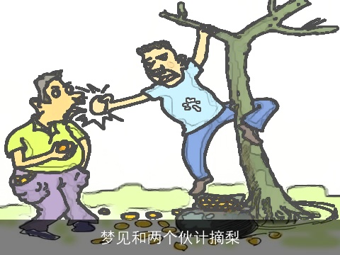 梦见和两个伙计摘梨