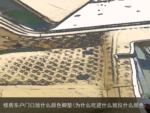楼房东户门口放什么颜色脚垫(为什么吃进什么就拉什么颜色)