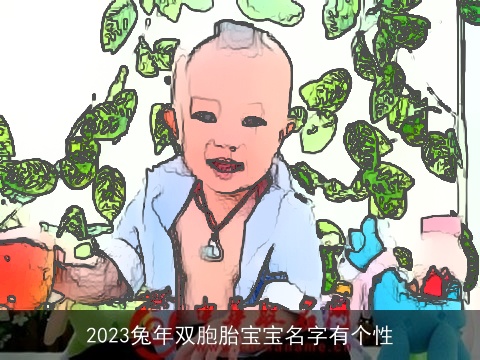 2023兔年双胞胎宝宝名字有个性