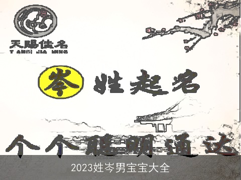 2023姓岑男宝宝大全