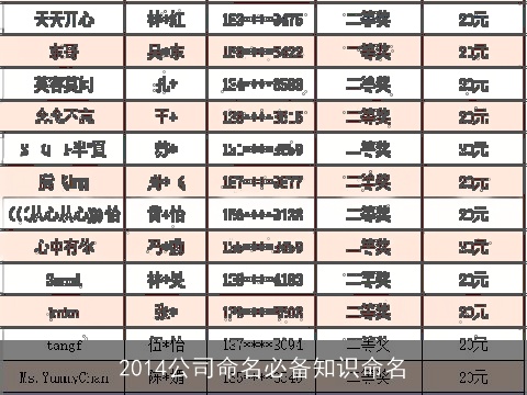 2014公司命名必备知识命名