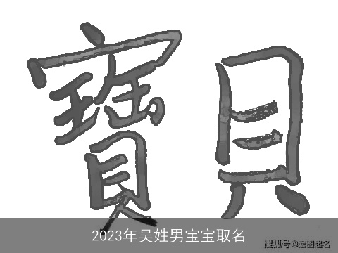 2023年吴姓男宝宝取名