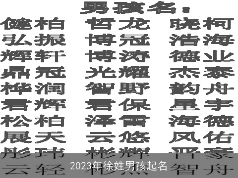 2023年徐姓男孩起名