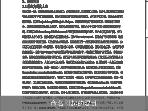 命名引起的混乱