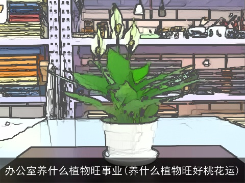 办公室养什么植物旺事业(养什么植物旺好桃花运)