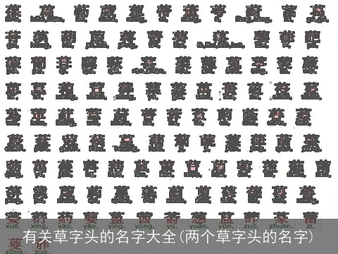 有关草字头的名字大全(两个草字头的名字)