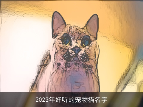 2023年好听的宠物猫名字