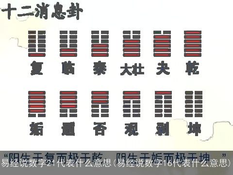 易经说数字21代表什么意思(易经说数字16代表什么意思)