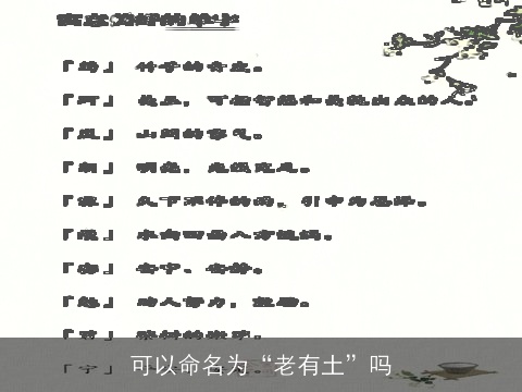 可以命名为“老有土”吗
