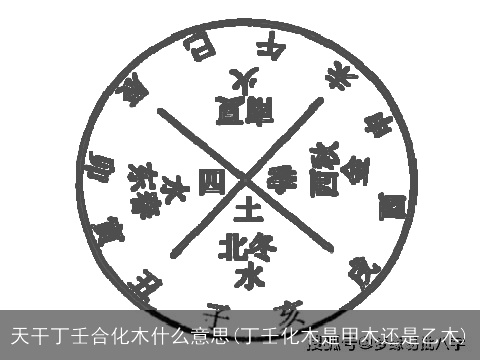天干丁壬合化木什么意思(丁壬化木是甲木还是乙木)
