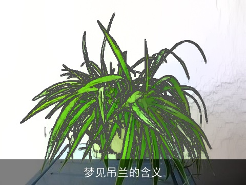 梦见吊兰的含义