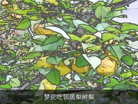 梦见吃邻居梨树梨