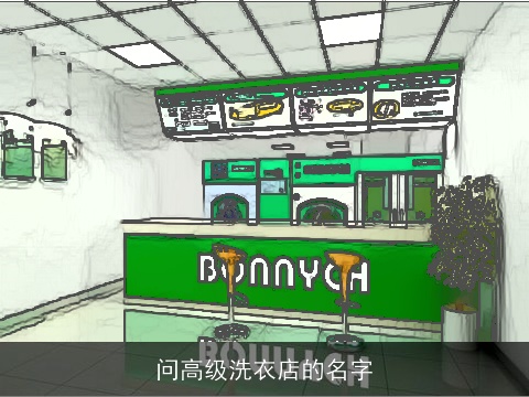 问高级洗衣店的名字