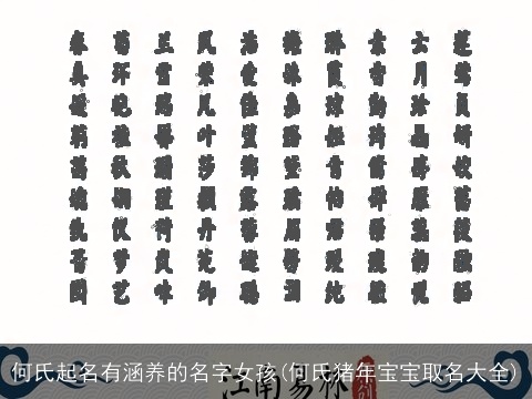 何氏起名有涵养的名字女孩(何氏猪年宝宝取名大全)