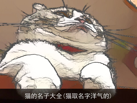 猫的名子大全(猫取名字洋气的)