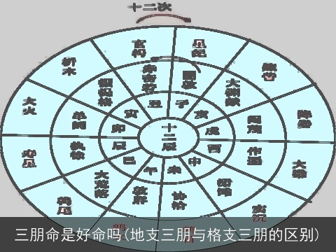 三朋命是好命吗(地支三朋与格支三朋的区别)