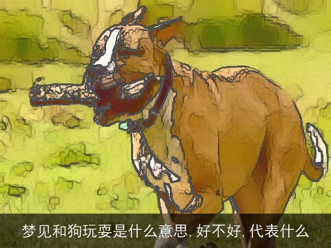 梦见和狗玩耍是什么意思,好不好,代表什么