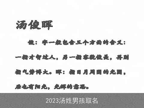 2023汤姓男孩取名