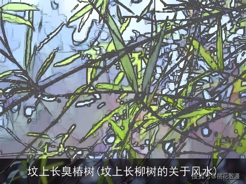 坟上长臭椿树(坟上长柳树的关于风水)