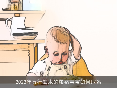 2023年五行缺木的属猪宝宝如何取名
