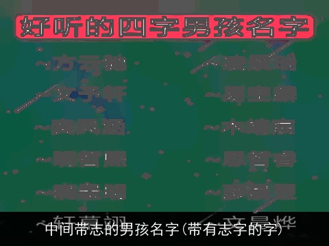 中间带志的男孩名字(带有志字的字)