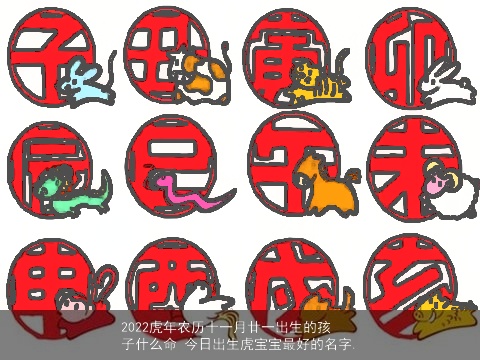 2022虎年农历十一月廿一出生的孩子什么命 今日出生虎宝宝最好的名字.