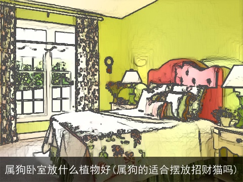属狗卧室放什么植物好(属狗的适合摆放招财猫吗)