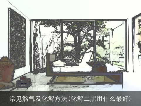 常见煞气及化解方法(化解二黑用什么最好)