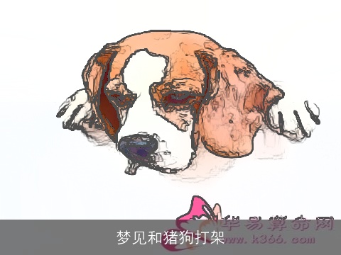 梦见和猪狗打架