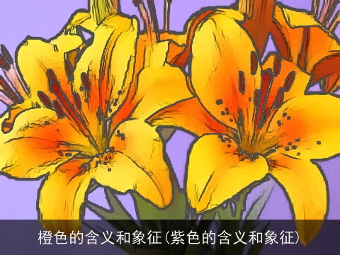 橙色的含义和象征(紫色的含义和象征)