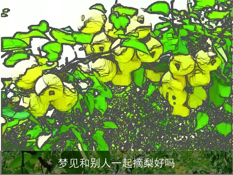 梦见和别人一起摘梨好吗